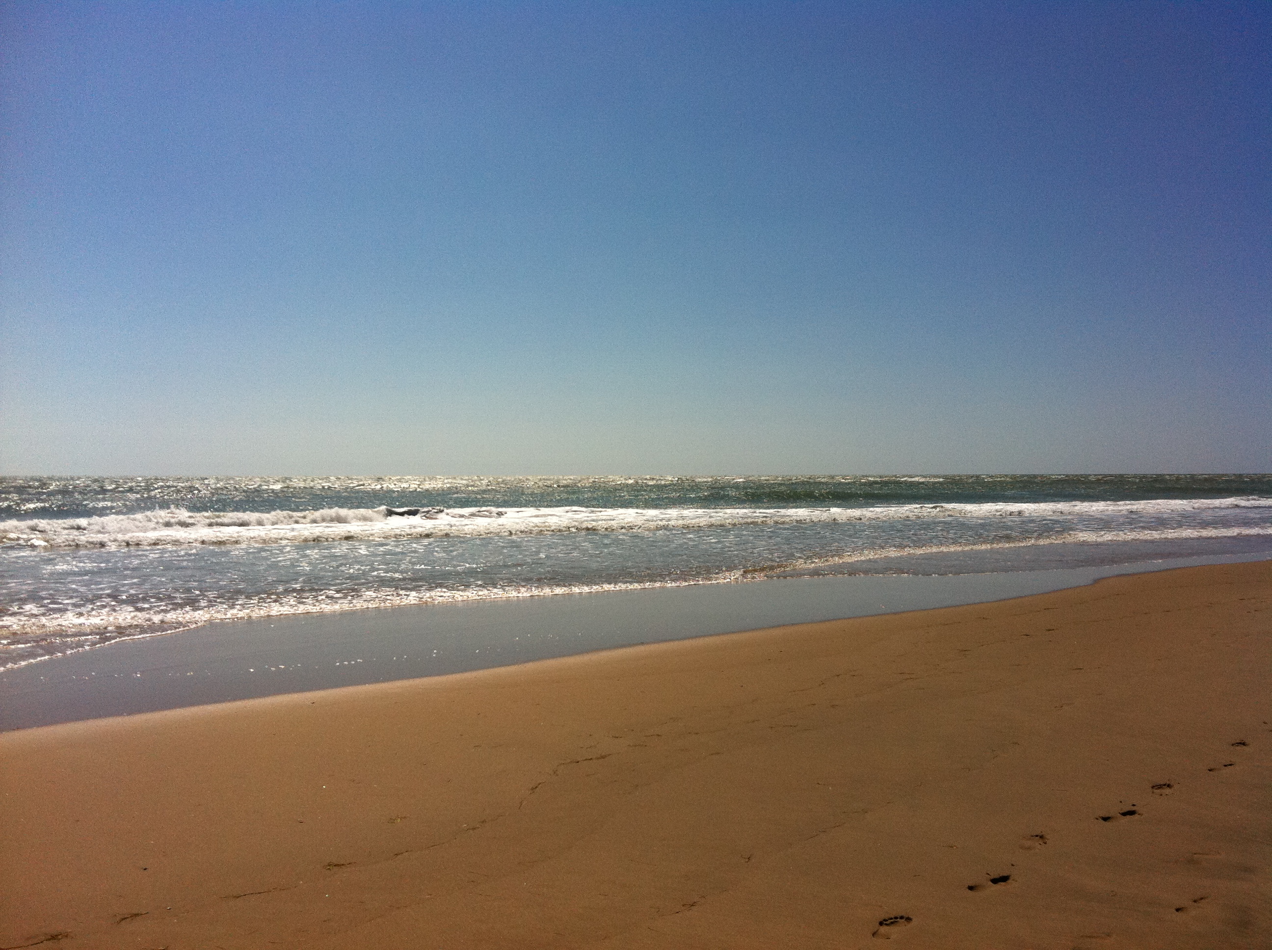 Balade à vélo à Saint-Pierre d’Oléron – VelOleron